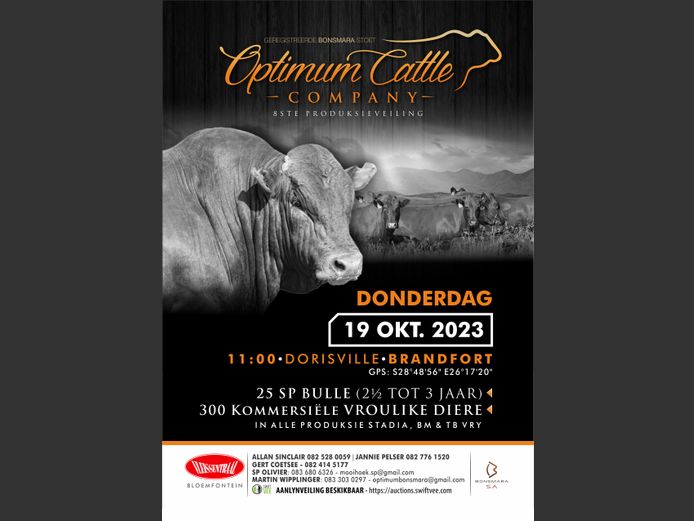 OPTIMUM CATTLE COMPANY 8STE PRODUKSIEVEILING