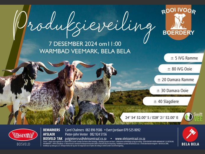 ROOI IVOOR VEEBOERDERY PRODUKSIEVEILING