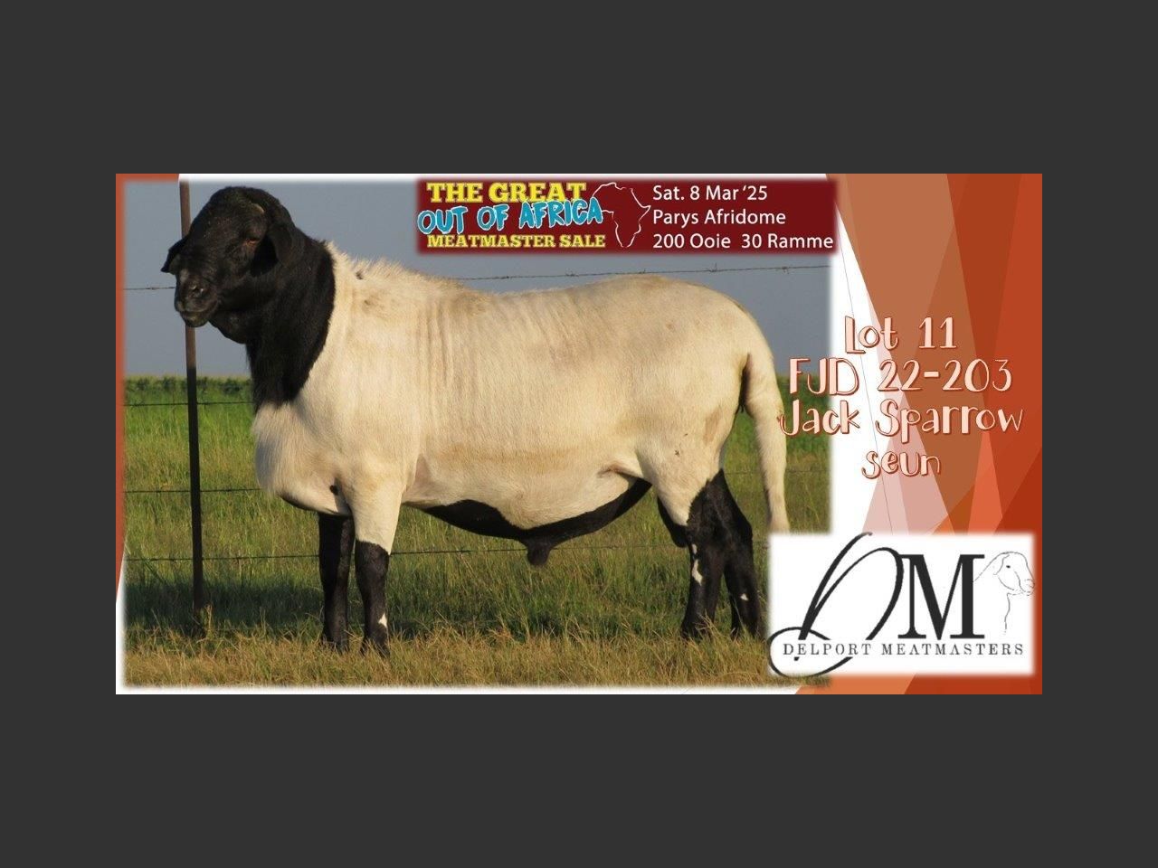 Lot 11 | THE GREAT OUT OF AFRICA MEATMASTER SALE | SwiftVEE | South ...