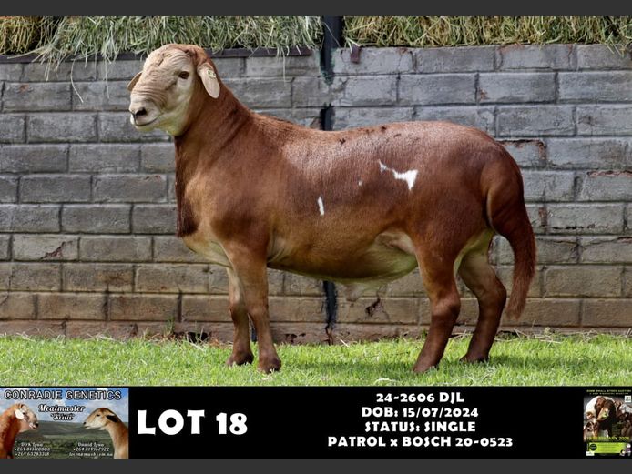 24-2606 DJL | DIRK LOUW