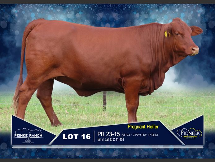 PR 230015 | PEINKE RANCH