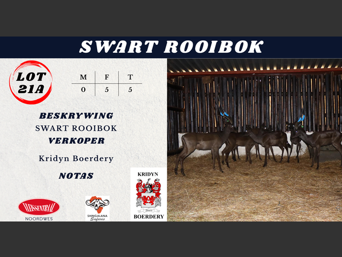 SWART ROOIBOK