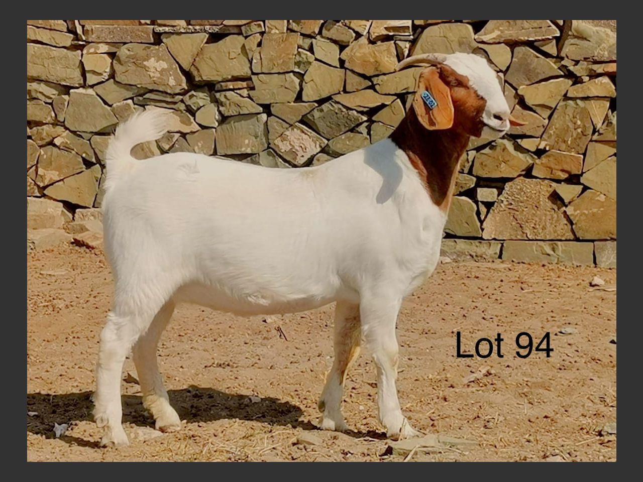 images