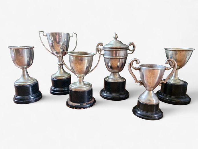 Collection of EPNS Trophies