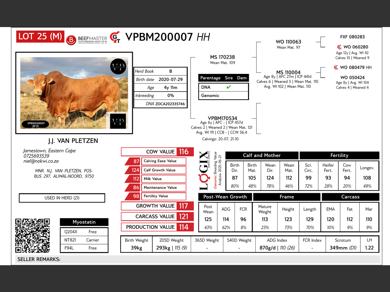 Lot 25 | 26STE NASIONALE BEEFMASTER VEILING | SwiftVEE | South Africa’s ...