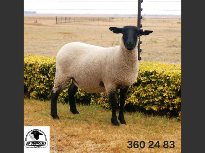 360240083 | J.I. POTGIETER