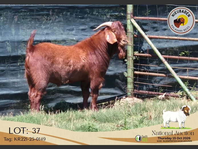 KR221-25-0149 | Nieubaden Kalahari Reds