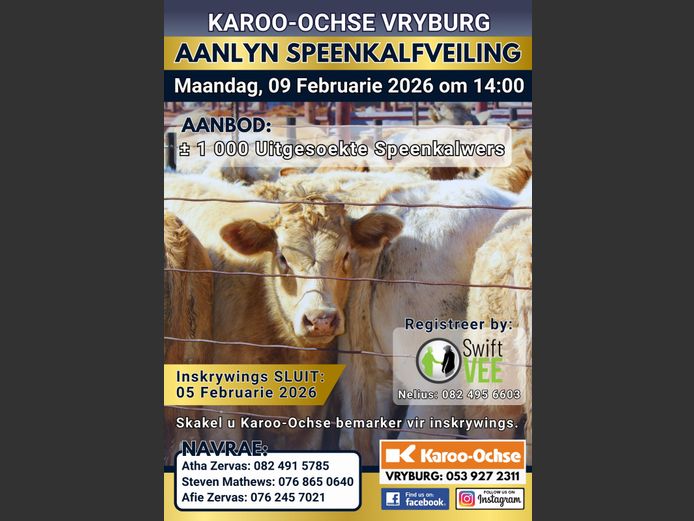 KAROO OCHSE VRYBURG AANLYN SPEENKALFVEILING 