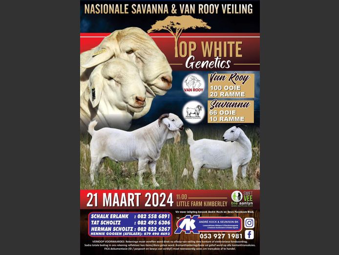 TOP WHITE GENETICS NASIONALE SAVANNA & VAN ROOY VEILING