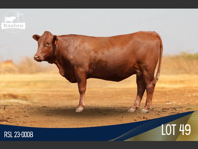 RSL 230008 | RASLOU BONSMARAS