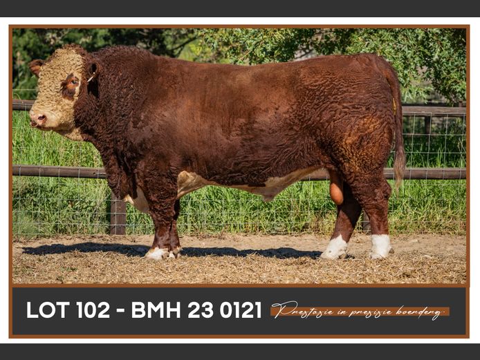 BMH 230121
