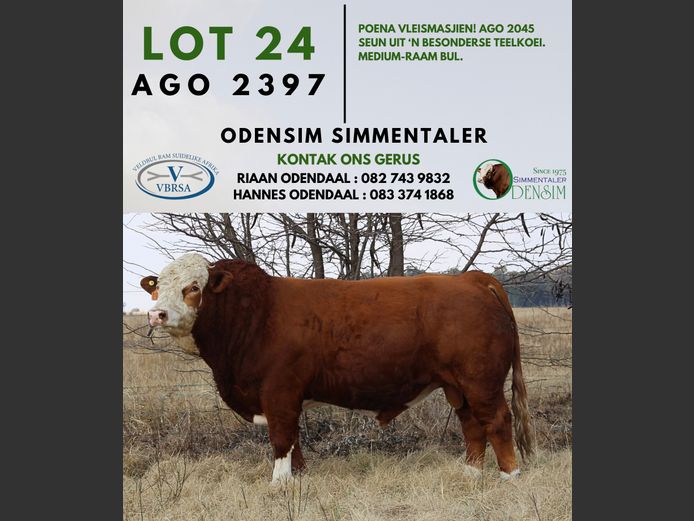 AGO2397 | AG ODENDAAL