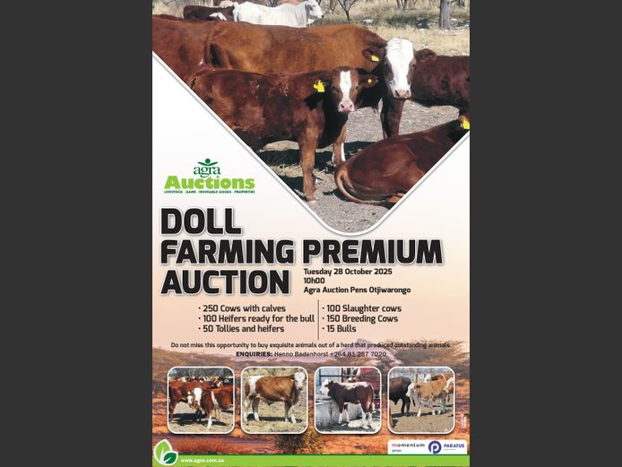 DOLL FARMING PREMIUM AUCTION