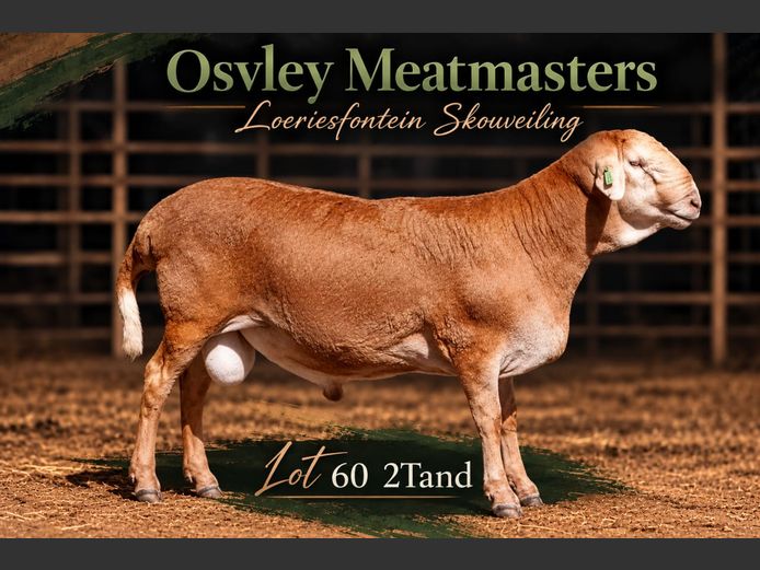 Osvley Meatmasters