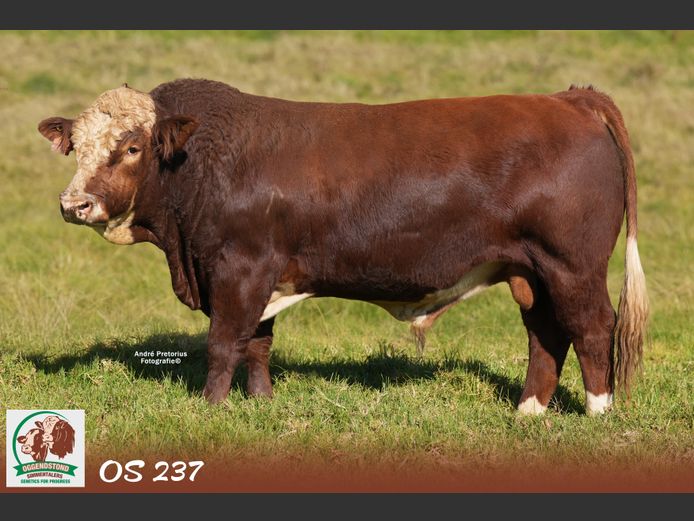 OS237 | OGGENDSTOND BOERDERY CC