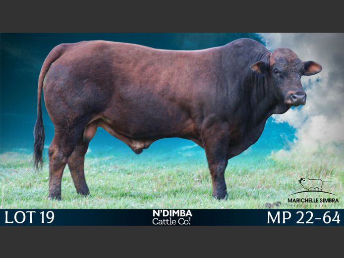 MP2264
