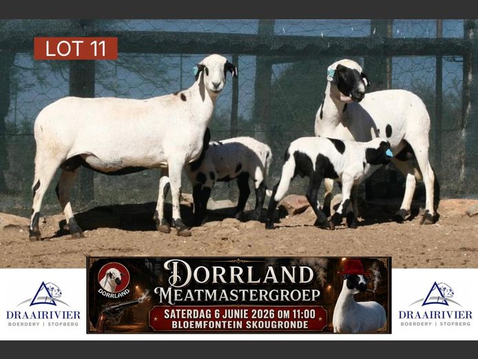 NS24-030 | Draairivier Boerdery