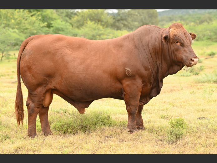 JOY 240031 | FETTING LIVESTOCK TRUST