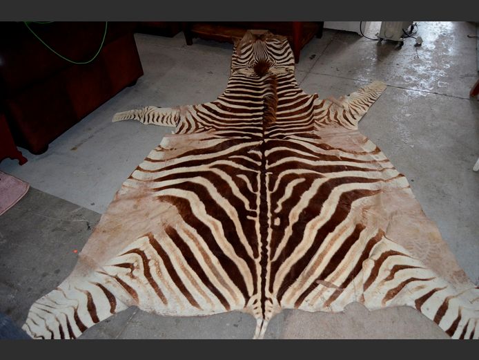 ZEBRA HIDE, 230 x 140cm