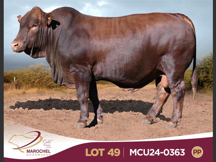 MCU240363 PP(c)