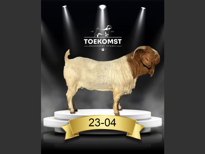 230004 | TOEKOMST BOERGOAT STUDS