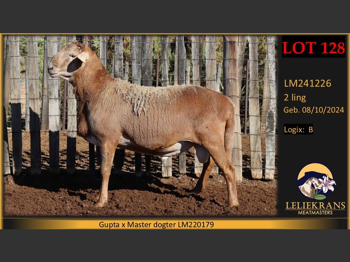 LM241226 | LELIEKRANS MEATMASTERS