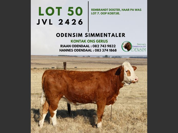 JVL2426 | AG ODENDAAL