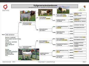genetic_data