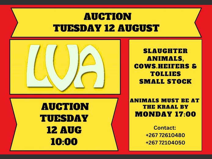 LVA WEEKLY SCALE AUCTION
