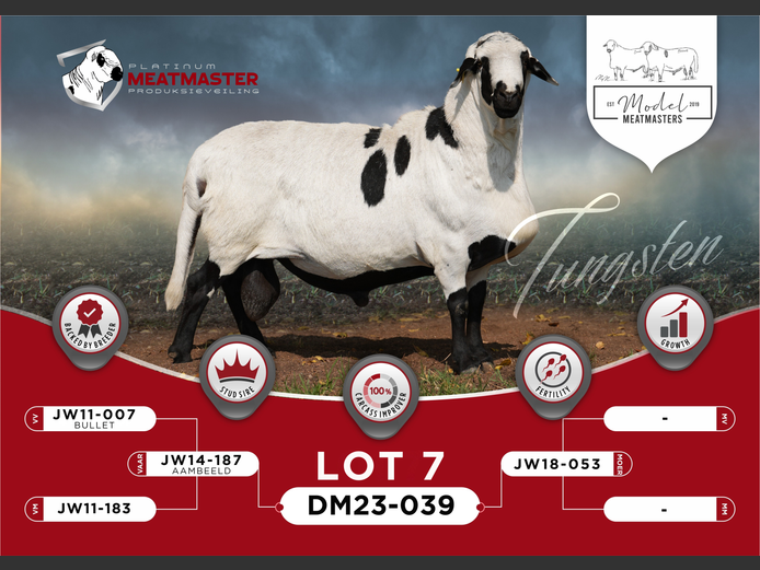 DM 23-0039 | Mario Marais - Model Meatmasters, Britz