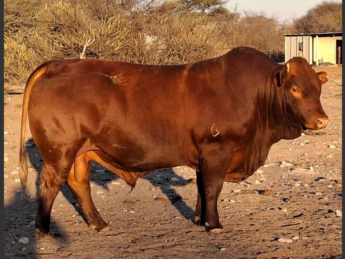 ROOI230021HH(c) | ROOIBEES FARMING PTY LTD