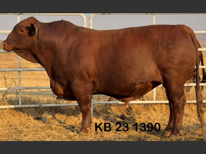 KB231390