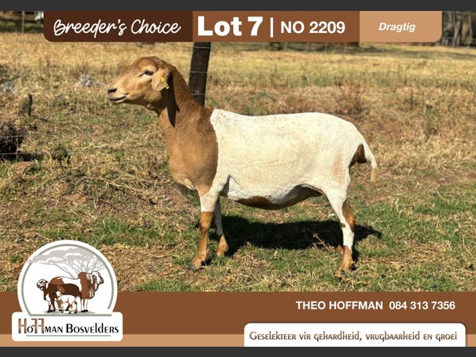 2209 | HOFFMAN BOSVELDERS
