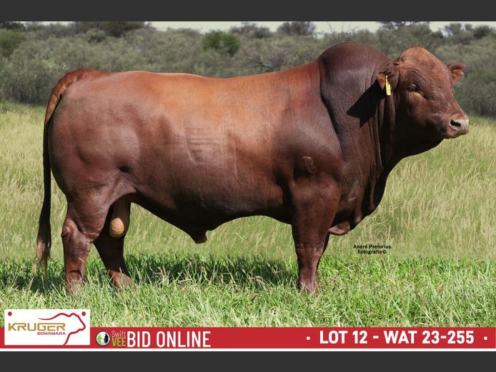 WAT 230255 | KRUGER BOERDERY