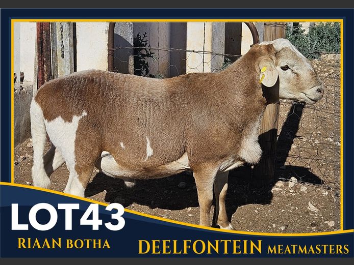 RBF 230002 | DEELFONTEIN MEATMASTERS