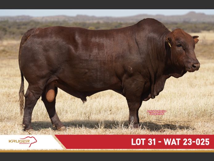 WAT230025 | KRUGER BOERDERY