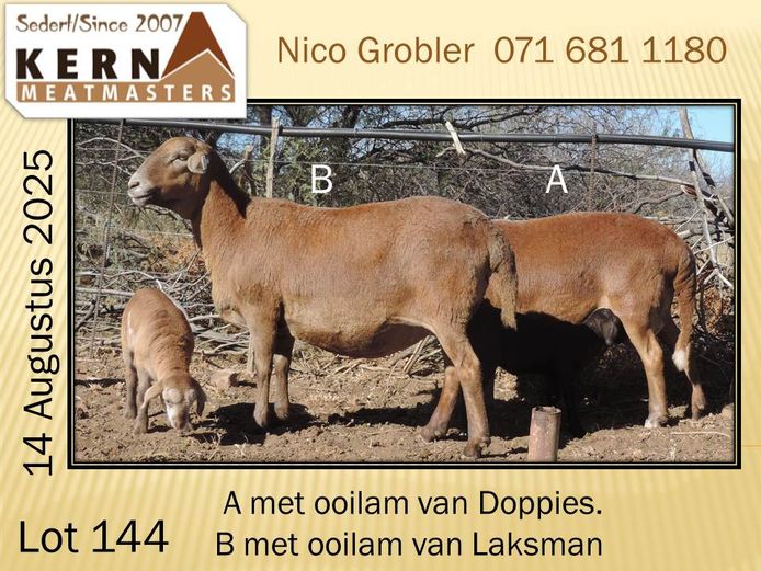 KERN 21 0217 | AANGETEKEN | Nico Grobler - Kern Meatmasters