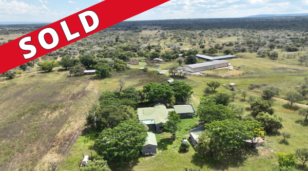 Liquidation Auction: Water-Rich Game / Cattle Farm - Vaalwater - Master Ref No: T000764/2020