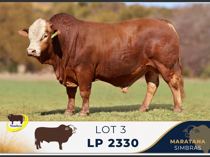 LP2330C | MARATANA BOERDERY (PTY) LTD