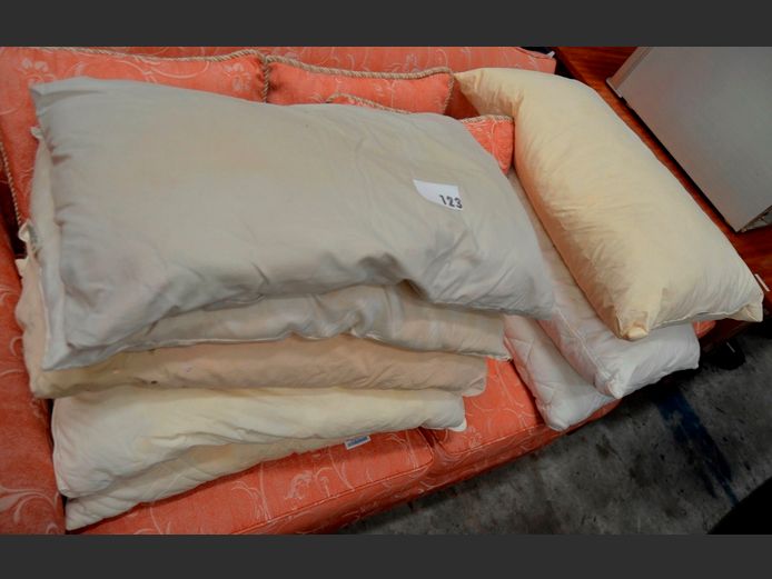 LOT OF 8: STANDARD PILLOWS