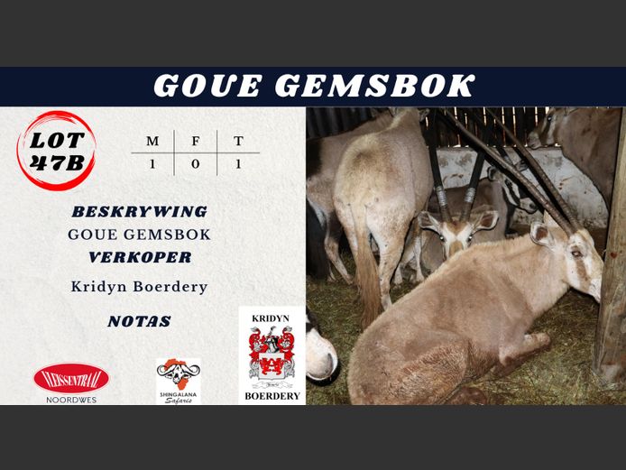 GOUE GEMSBOK