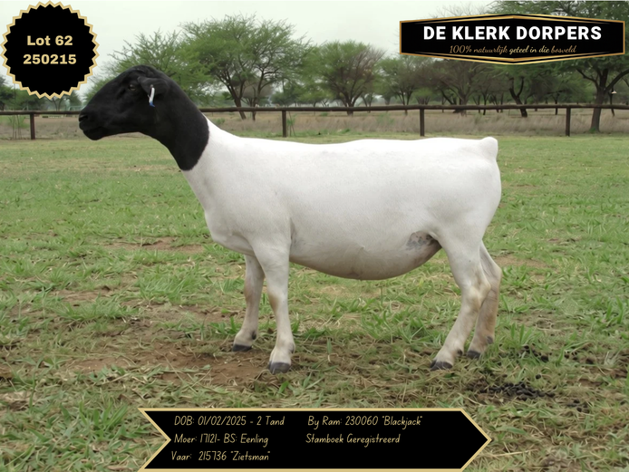 250215 | DE KLERK DORPERS