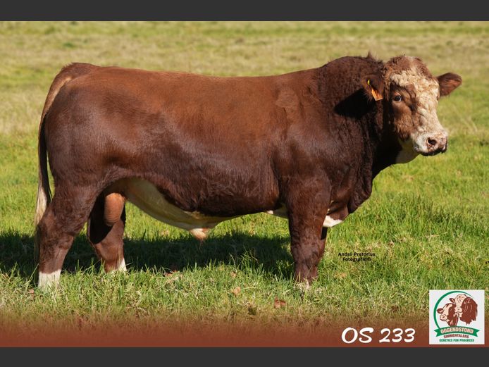 OS233 | OGGENDSTOND BOERDERY CC