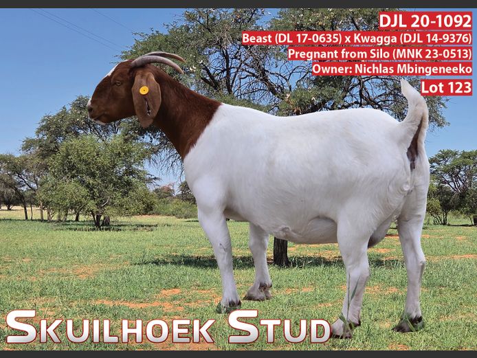 DJL 20-1092 | NICHLAS MBINGENEEKO