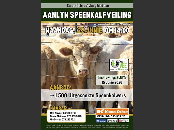 KAROO OCHSE AANLYN SPEENKALFVEILING