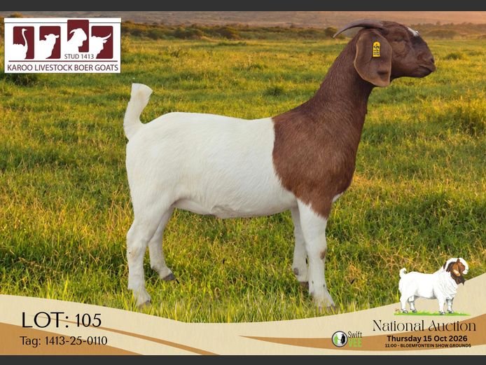 1413-25-0110 | Karoo Livestock Stud