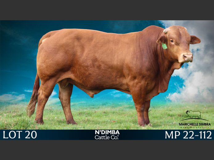 MP22112