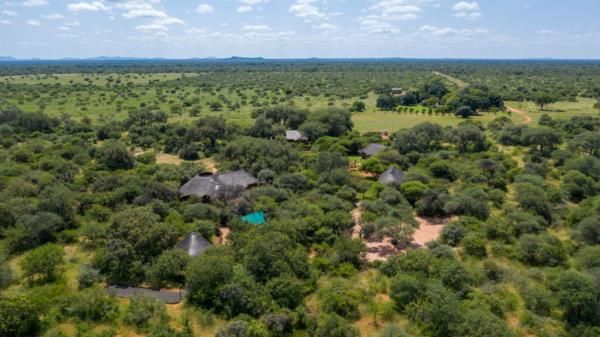 Game Farm in Limpopo (85 hectares)