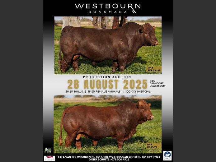 WESTBOURN BONSMARA PRODUKSIE VEILING