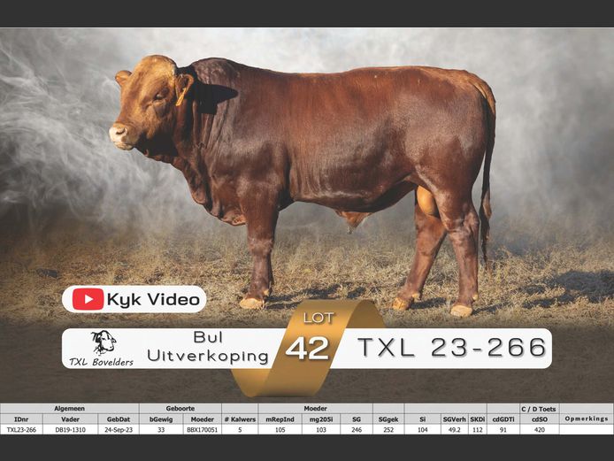 TXL23-266
